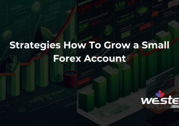 https://westernfx.com/strategies-how-to-grow-a-small-forex-account/
